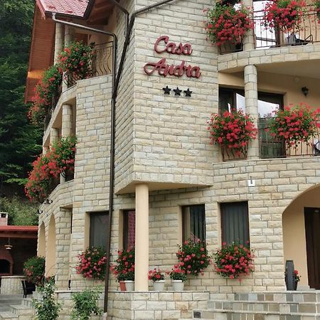 Casa Andra Hotel Slănic-Moldova Exterior foto