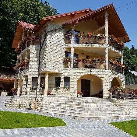 Casa Andra Hotel Slănic-Moldova Exterior foto