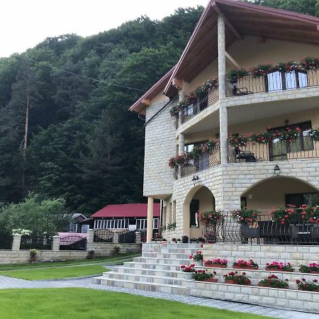 Casa Andra Hotel Slănic-Moldova Exterior foto