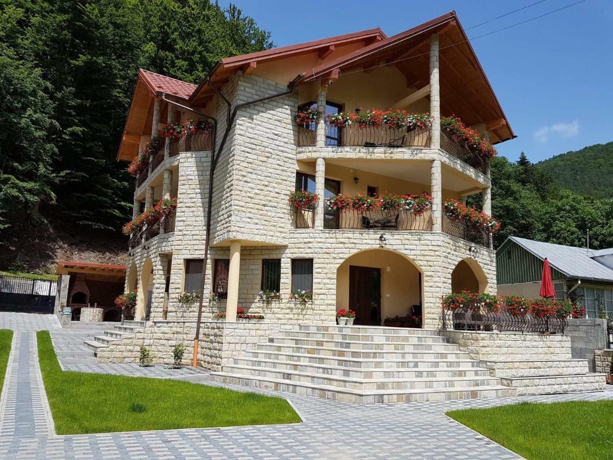 Casa Andra Hotel Slănic-Moldova Exterior foto