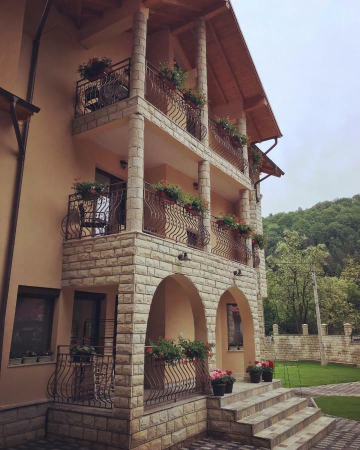 Casa Andra Hotel Slănic-Moldova Exterior foto